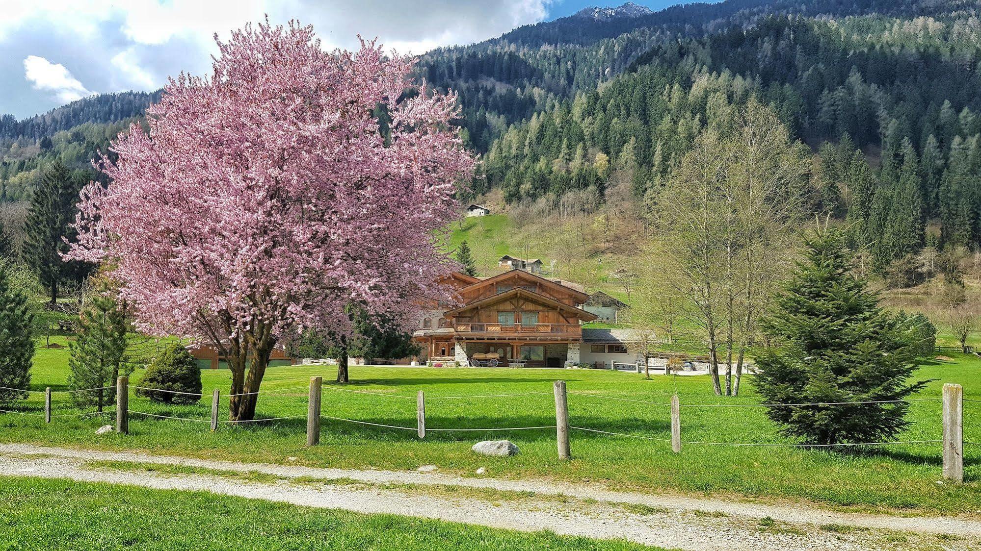 Hotel Maso del Brenta Caderzone Terme Exterior foto